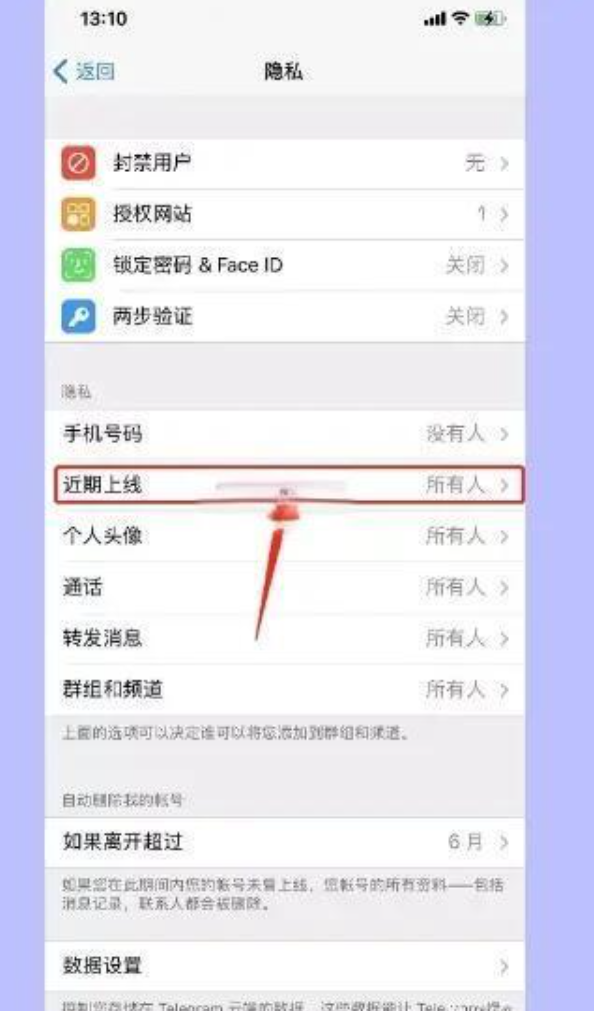 Telegeram纸飞机可以隐藏我的“最后一次上线”时间吗