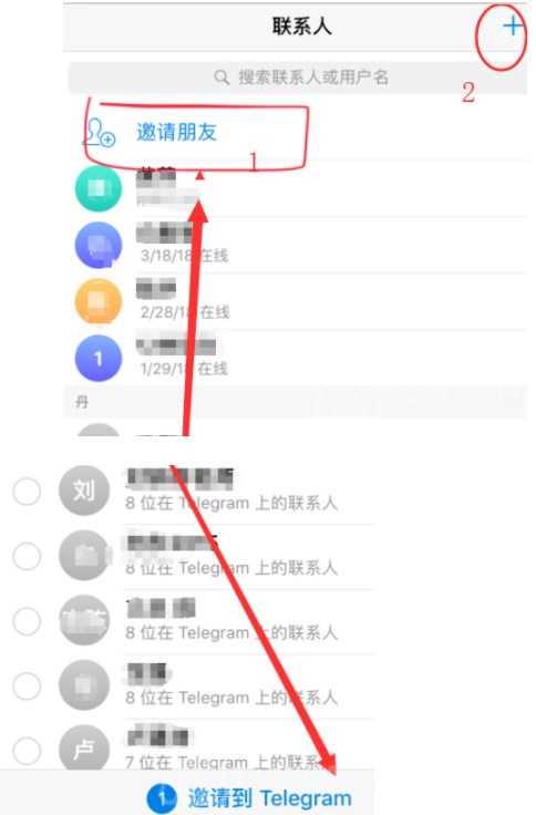 纸飞机聊天软件怎么添加好友 纸飞机软件在哪里添加好友联系人