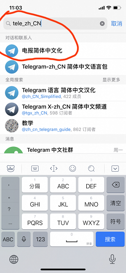 纸飞机app如何设置中文版教程